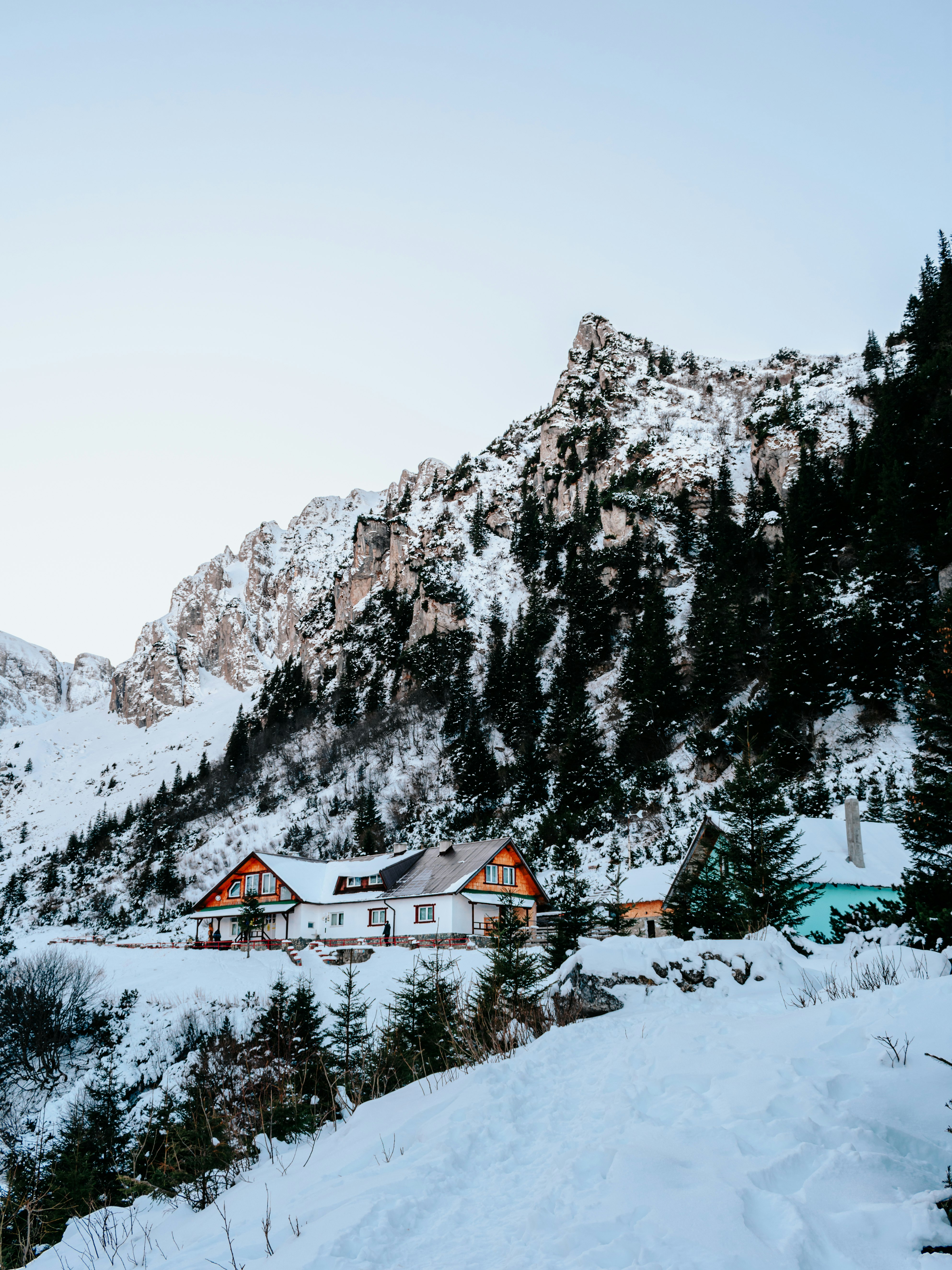 snow covered house near trees and mountain during daytime